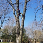 Pink's Tree Service