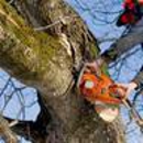 AAA Tree Experts - Tree Service Equipment & Supplies