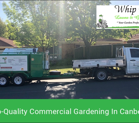 Whip It Lawns & Gardens - Holt, ACT. Top-Quality Commercial Gardening In Canberra