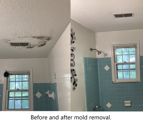 R & E Home Solutions - Charleston, SC. Mold remediation