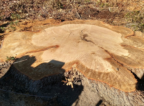 Affordable Stump Grinding - Monticello, FL