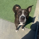Top Notch Kennels - Pet Boarding & Kennels