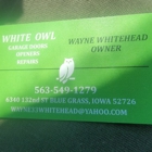 White Owl