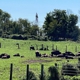 Readington River Buffalo Farm