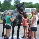 WoodFinn Farm - Horse Stables