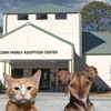 Humane Society of South Coastal Georgia Inc gallery