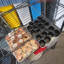 Darkstar Home Bakery - Bakeries