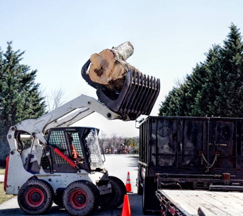 Cedar Rapids Tree Removal Services - Cedar Rapids, IA. tree stump removal cedar rapids iowa