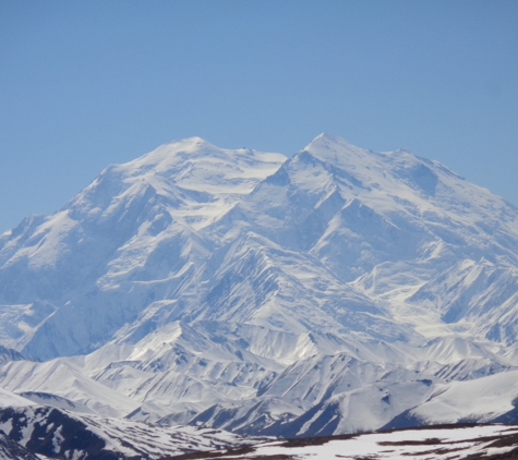 Taylor Made Travel llc - Morganton, NC. the Tundra Tour takes you almost to the foot of Mt. Denali