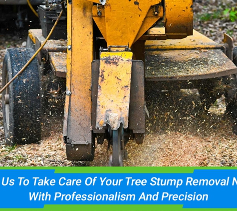 Affordable Stump Grinding - Elanora, QLD. Trust Us To Take Care Of Your Tree Stump Removal Needs With Professionalism And Precision