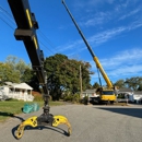 Martel Crane Service & Tree Removal - Tree Service