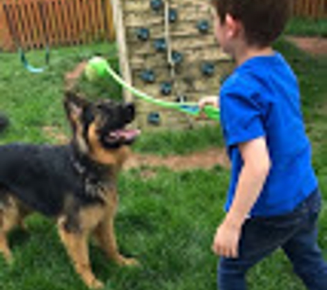 Sugar Maple Farm K9 Boarding and Day Care - Aldie, VA