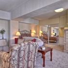 Vintage Westwood Horizons, Vintage Senior Living