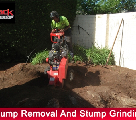 Redback Tree Services. Stump Removal And Stump Grinding