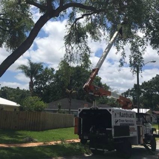 Aardvark Tree Service - Port Orange, FL