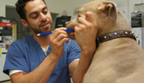 Center-Sinai Animal Hospital - Los Angeles, CA