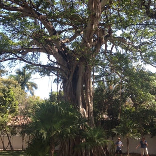 Colee Hammock Park - Fort Lauderdale, FL