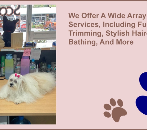 Scottie Clipz - Blackwood, SA. We Offer A Wide Array Of Services, Including Fur Trimming, Stylish Haircuts, Bathing, And More