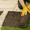 Vegas Services - Landscaping & Lawn Services