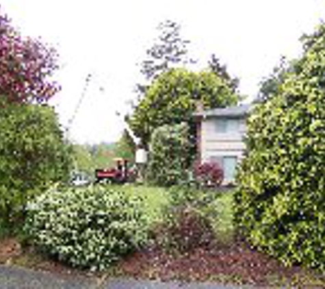 Pioneer Tree Service & Landscaping, Inc. - Oak Harbor, WA