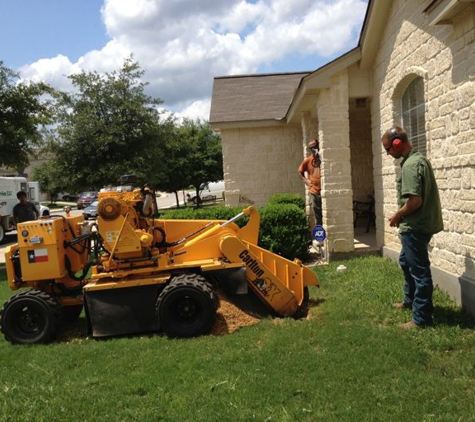JJ Tree Service - San Antonio, TX