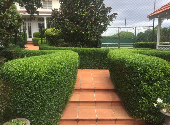 Steven Clark's Garden Maintenance - Carbrook, QLD