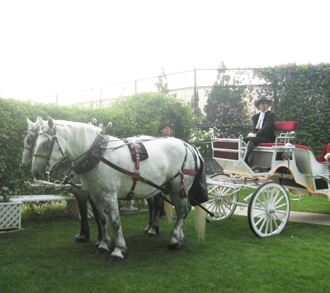 Weddings and Special Events Company - Orange, CA