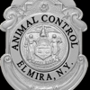 Elmira Animal Shelter gallery