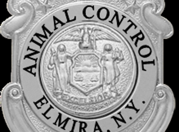 Elmira Animal Shelter - Elmira, NY