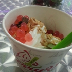 BerryVille's Frozen Yogurt