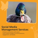 Paradux Media Group - Marketing Programs & Services