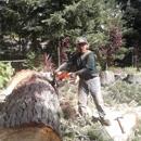 Victor Tree Services LLC - Tree Service