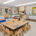 Primrose School at Holly Grove
