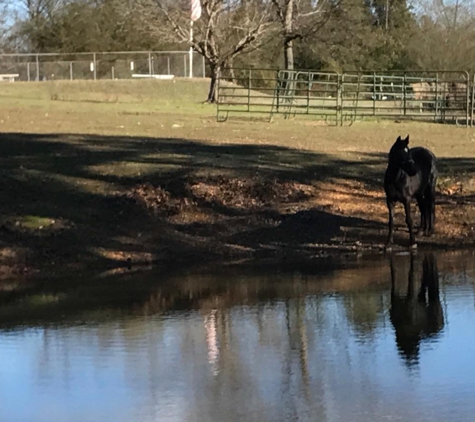 The Vittetoe Farm - Chickamauga, GA