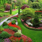 Absolutely Green