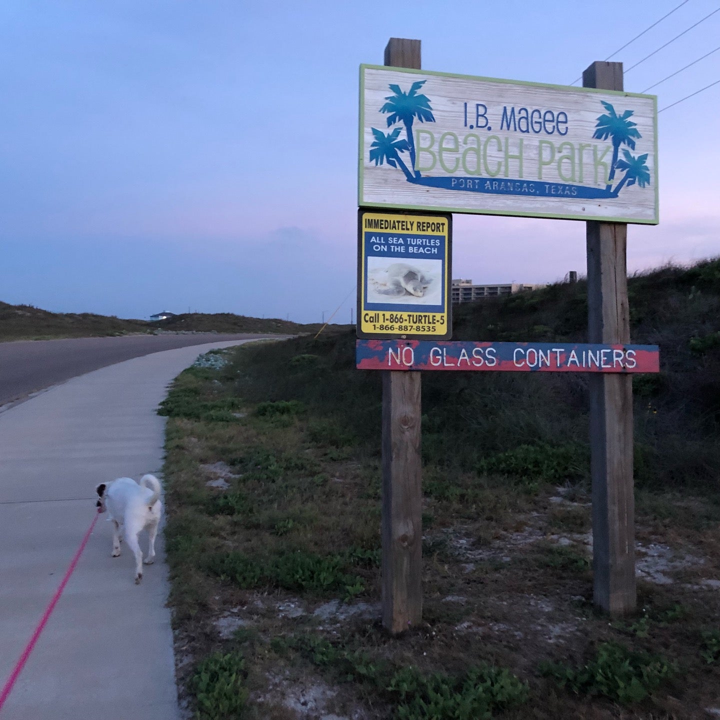 IB Magee Beach Park - Port Aransas, TX 78373