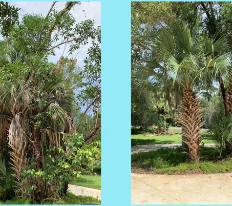 Javi’s tree service - Fort Pierce, FL