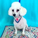 Tailspin Dog Grooming - Pet Grooming