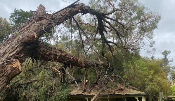 Hilltops Vegetation Services - Young, NSW