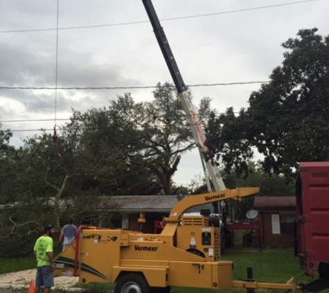 Big City Tree Service, Inc. - Jacksonville Beach, FL