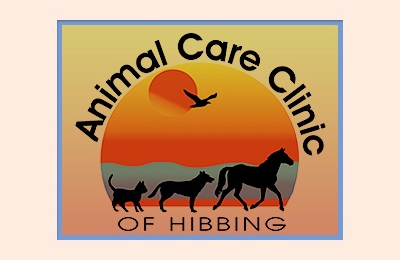 Animal Care Clinic of Hibbing Hibbing MN 55746