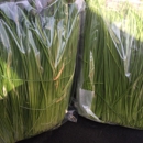 Got Sprouts - Health & Diet Food Products-Wholesale & Manufacturers
