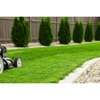 Clean Cut Lawn Care gallery