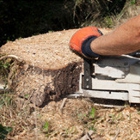 Mark's Tree Service