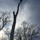 Edmonds Tree Experts - Tree Service