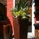 Pots made Pretty - Landscape Designers & Consultants