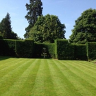 Complete Lawn Care Service