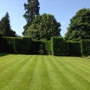 Complete Lawn Care Service