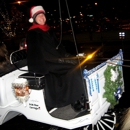 Downtown Denver Carriage Rides - Horse & Carriage-Rental