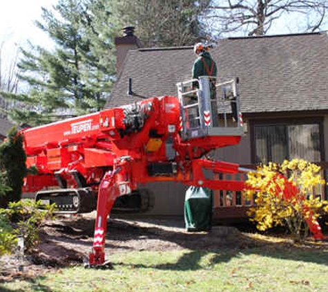 Mclellan Tree Service Inc. - Bristol, CT